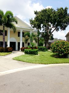 residential landscaping tampa