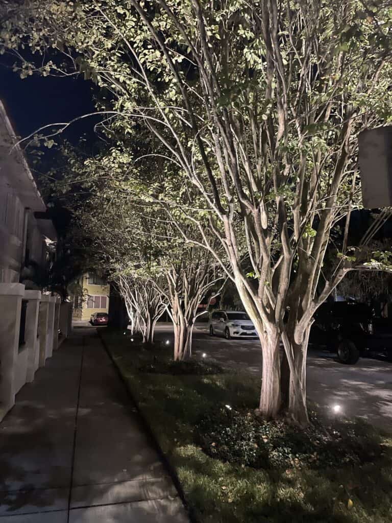st pete beach landscape lighting 3