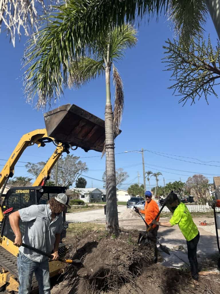 st pete beach landscaping 2