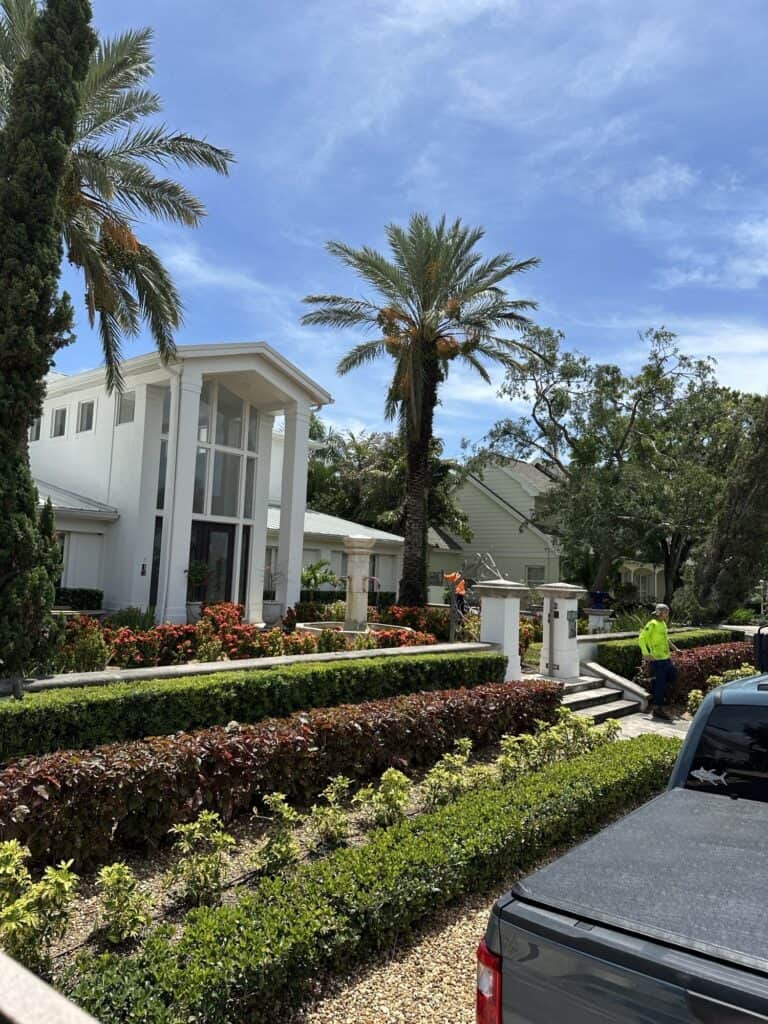 st pete beach landscaping 4